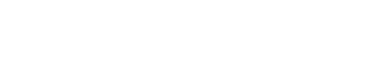 logo pallur